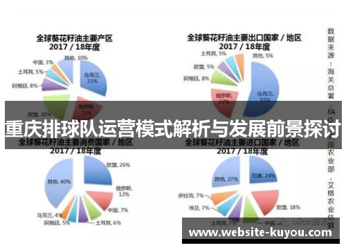 重庆排球队运营模式解析与发展前景探讨