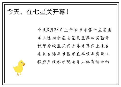 今天,在七星关开幕! 今天,在七星关开幕!